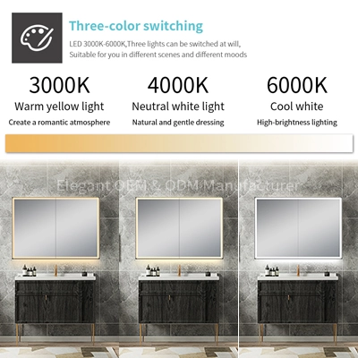 Black Bathroom LED Mirror Cabinet